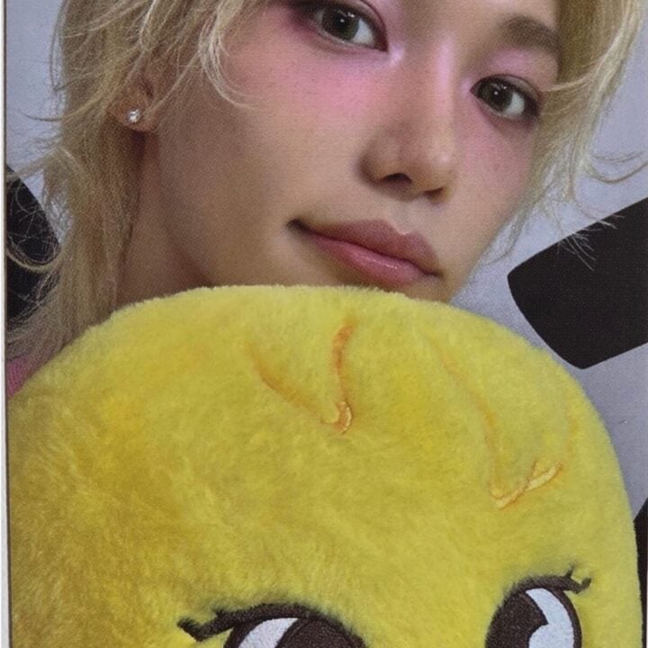 Stray Kids Teddy Bear dominATE celebrATE Pop Up POB Photocard - Felix (BbokAri)