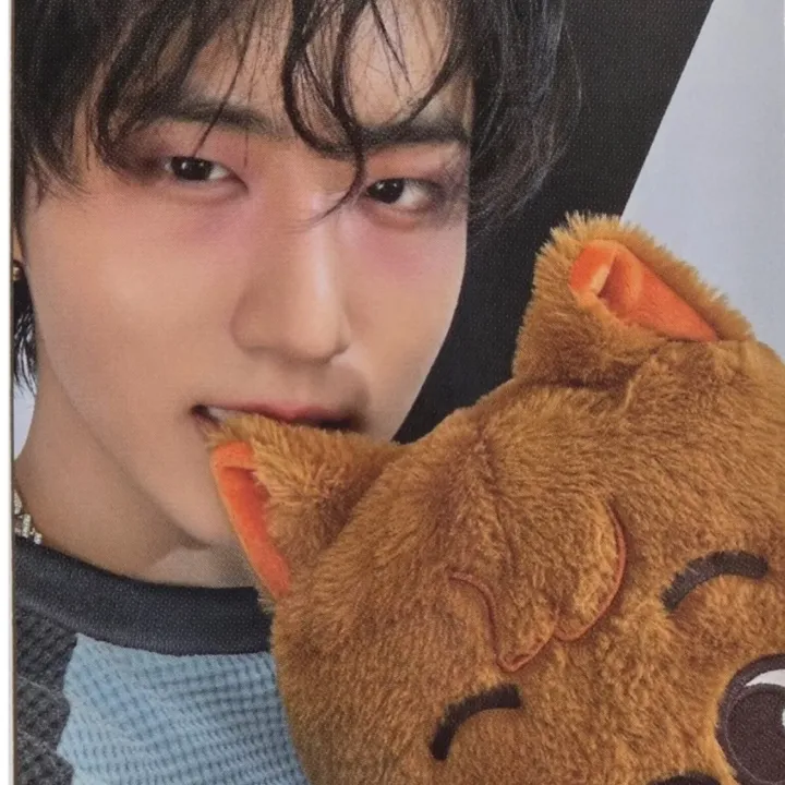 Stray Kids Teddy Bear dominATE celebrATE Pop Up POB Photocard - Han (Quokka)