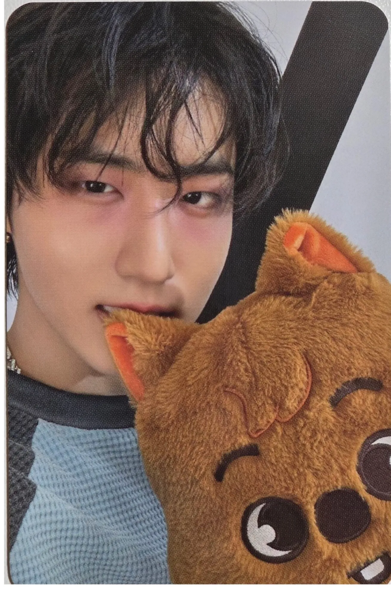 Stray Kids Teddy Bear dominATE celebrATE Pop Up POB Photocard - Han (Quokka)