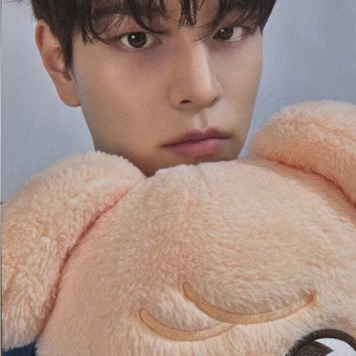Stray Kids Teddy Bear dominATE celebrATE Pop Up POB Photocard - Seungmin (PuppyM)