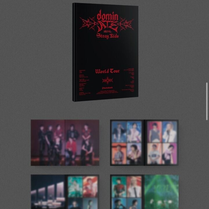 stray-kids-world-tour-dominate-seoul-blue-ray6