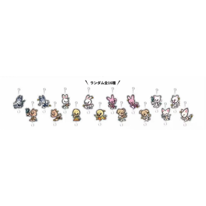 random-acrylic-key-holder