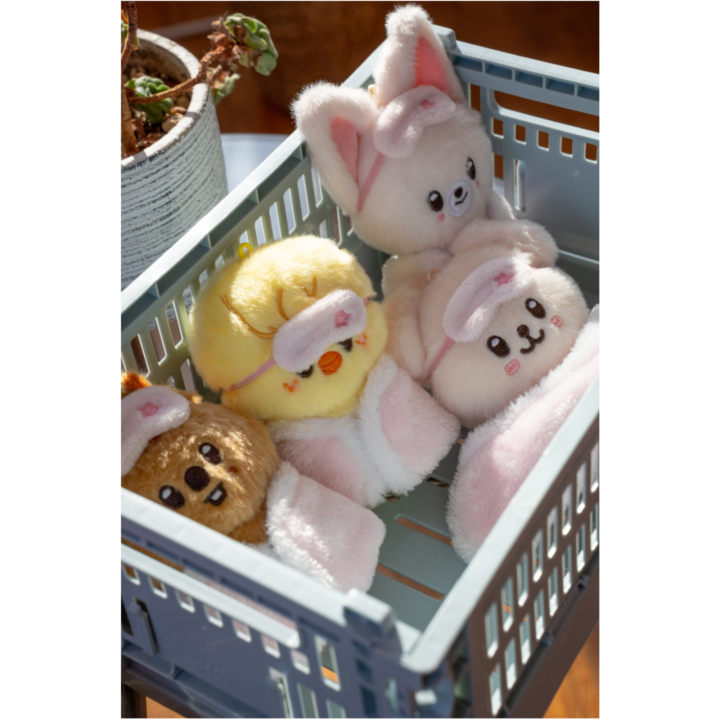 Official lifestyle basket view of SKZOO Plush 10CM Ver. characters from Stray Kids 6th Fan Meeting.