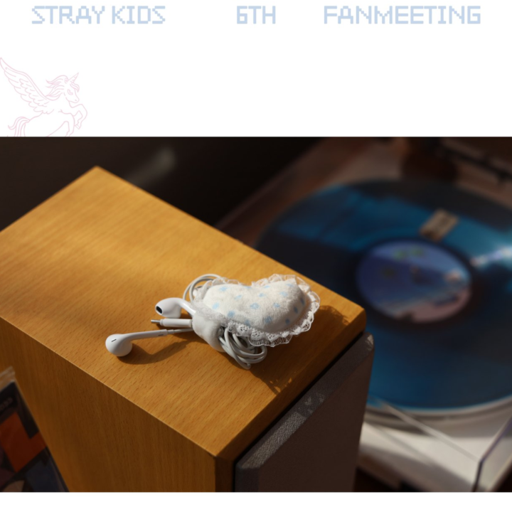 Stray Kids 6th Fan Meeting Cable Holder official lifestyle detail