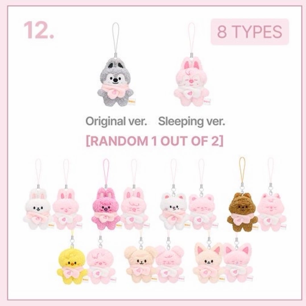 SKZOO Secret Plush Micro Ver Stray Kids 6th Fan Meeting | KK Fans