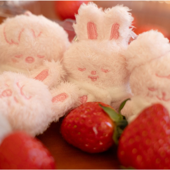 Official strawberry lifestyle view of SKZOO Secret Plush Micro Ver. from Stray Kids 6th Fan Meeting.