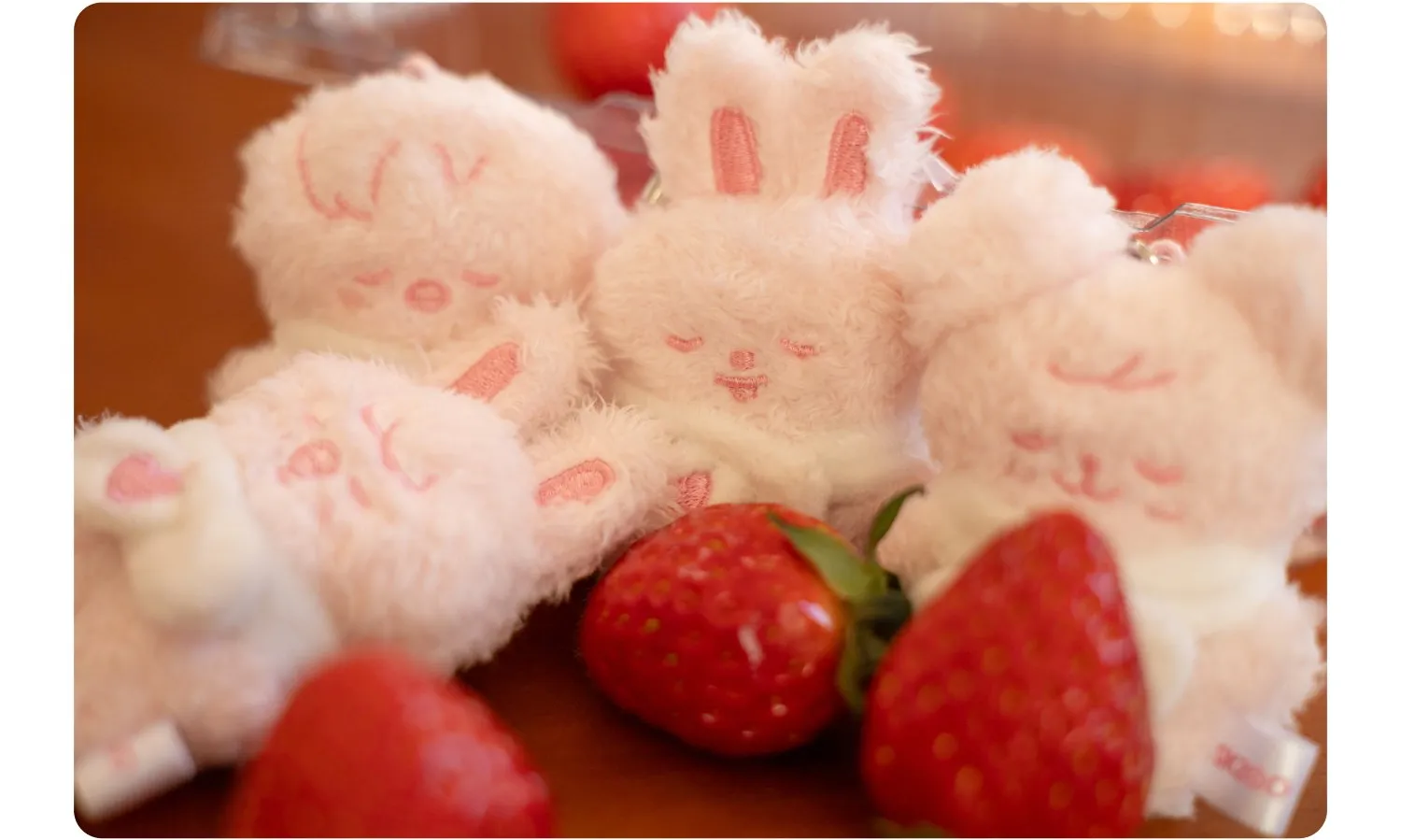 Official strawberry lifestyle view of SKZOO Secret Plush Micro Ver. from Stray Kids 6th Fan Meeting.