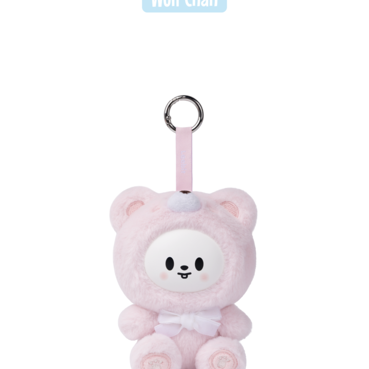 Stray Kids SKZOO SECRET KEYRING TOY Ver. SKZOO EAATW POP UP official random version 02