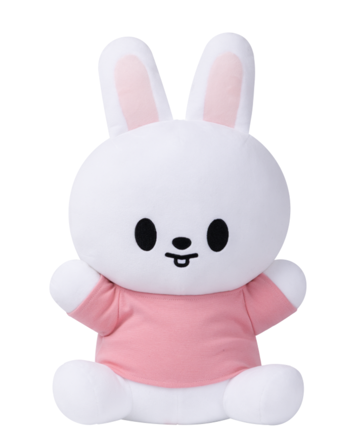 PREORDER] SKZOO Plush Hug-Me Ver. SKZOO EAATW POP UP | KK Fans