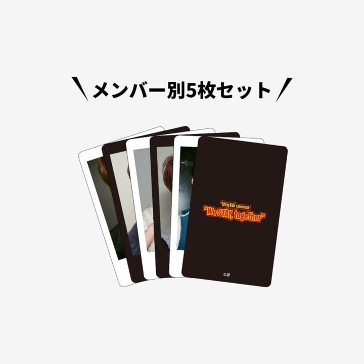 Stray Kids EXHIBITION We STAY together Photo Card Set - Lee Know official detail