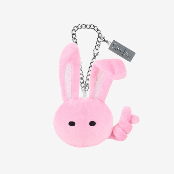 Stray Kids JYP JAPAN POPUP STORE 2025 Bag Charm - Changbin official detail