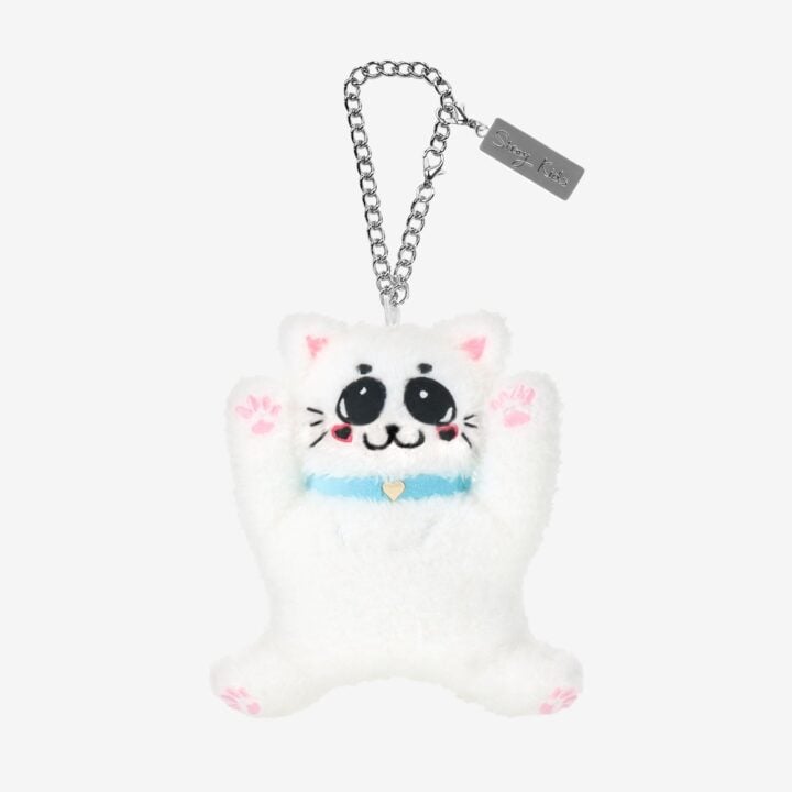 Stray Kids JYP JAPAN POPUP STORE 2025 Bag Charm - Felix official detail