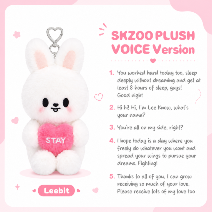 SKZOO Plush Voice Ver. – Stray Kids 6th Fan Meeting Merch
