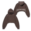 BTS ARIRANG Japan Concert Tokyo Brown Cropped Hoodie