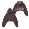 BTS ARIRANG Japan Concert Tokyo Brown Cropped Hoodie