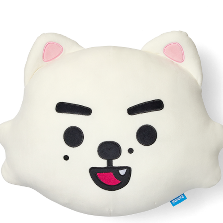 ENHYPEN ENCHIN Face Cushion SnoWe official product detail