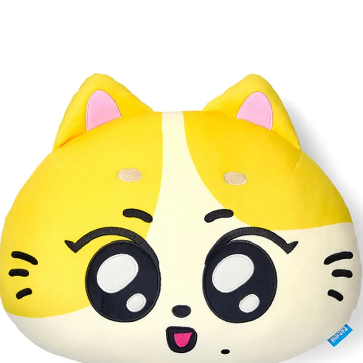 ENHYPEN ENCHIN Face Cushion WONCHU official product detail