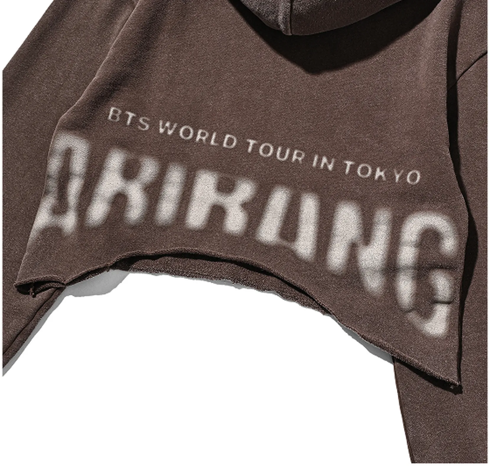 BTS ARIRANG Japan Concert Tokyo Brown Cropped Hoodie | KK Fans