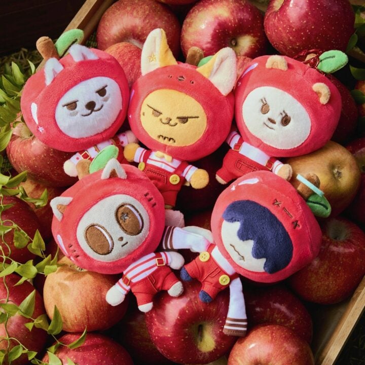 TXT PPULBATU Plush Keyring Apple Version all five member designs
