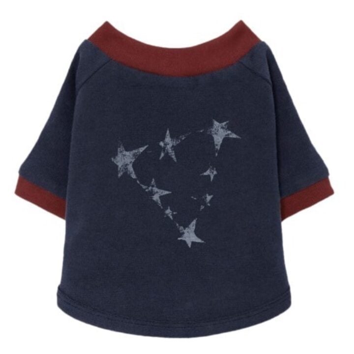 GUESS Dog Star Triangle Tee official back view