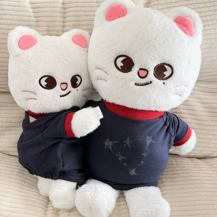 hyunjin-guess-plushie:dog-star-tee
