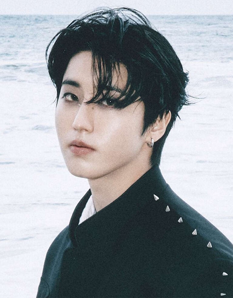 HAN of Stray Kids official profile portrait