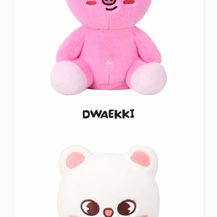 Stray Kids RUN IT Seoul SKZOO Plush Dancing Ver – DWAEKKI and Jiniret