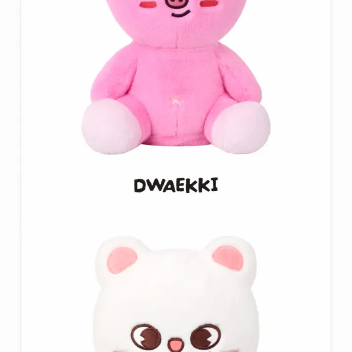 Stray Kids RUN IT Seoul SKZOO Plush Dancing Ver – DWAEKKI and Jiniret