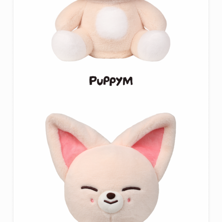 Stray Kids RUN IT Seoul SKZOO Plush Dancing Ver – PuppyM and FoxI.Ny