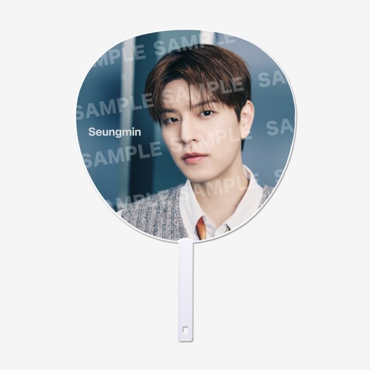 Stray Kids RUN IT JAPAN Image Picket – Seungmin