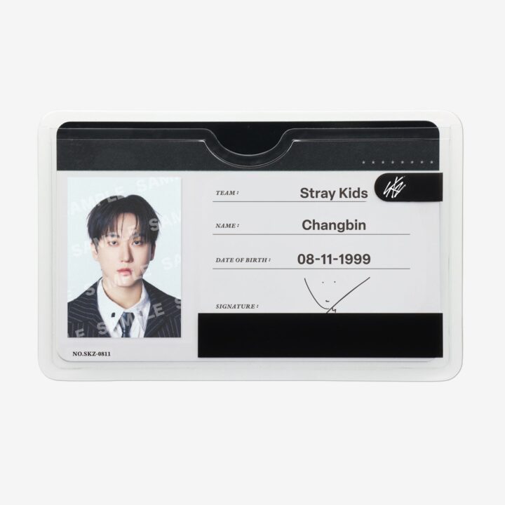 Stray Kids RUN IT JAPAN Profile Card Set – Changbin
