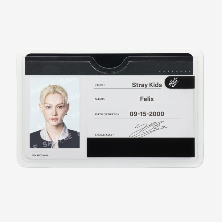 Stray Kids RUN IT JAPAN Profile Card Set – Felix