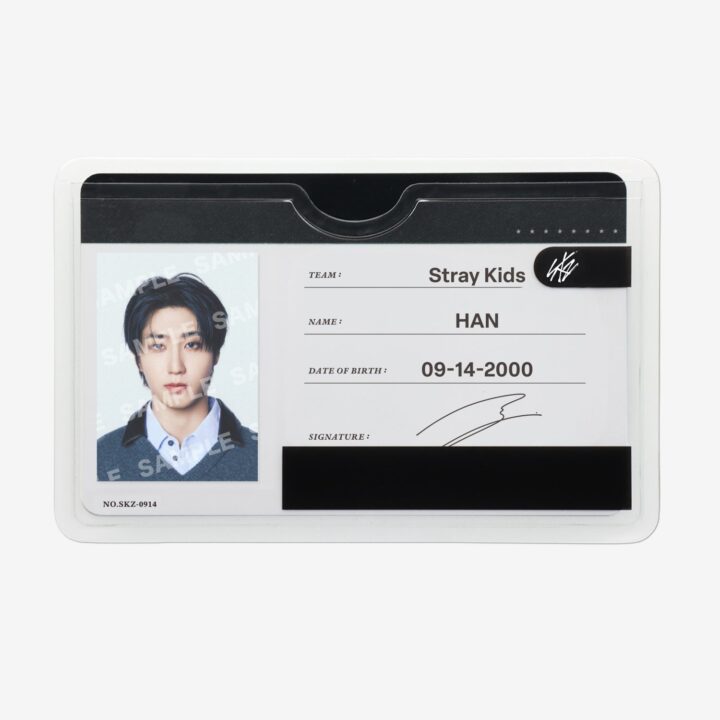 Stray Kids RUN IT JAPAN Profile Card Set – HAN