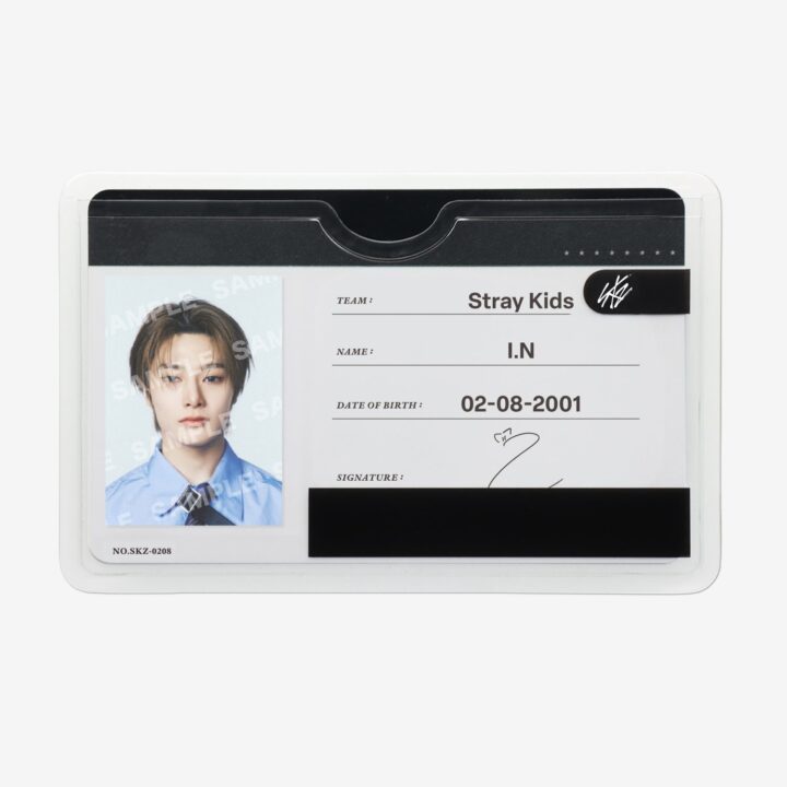 Stray Kids RUN IT JAPAN Profile Card Set – I.N