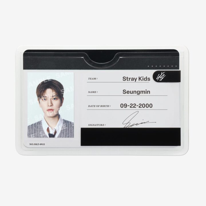 Stray Kids RUN IT JAPAN Profile Card Set – Seungmin