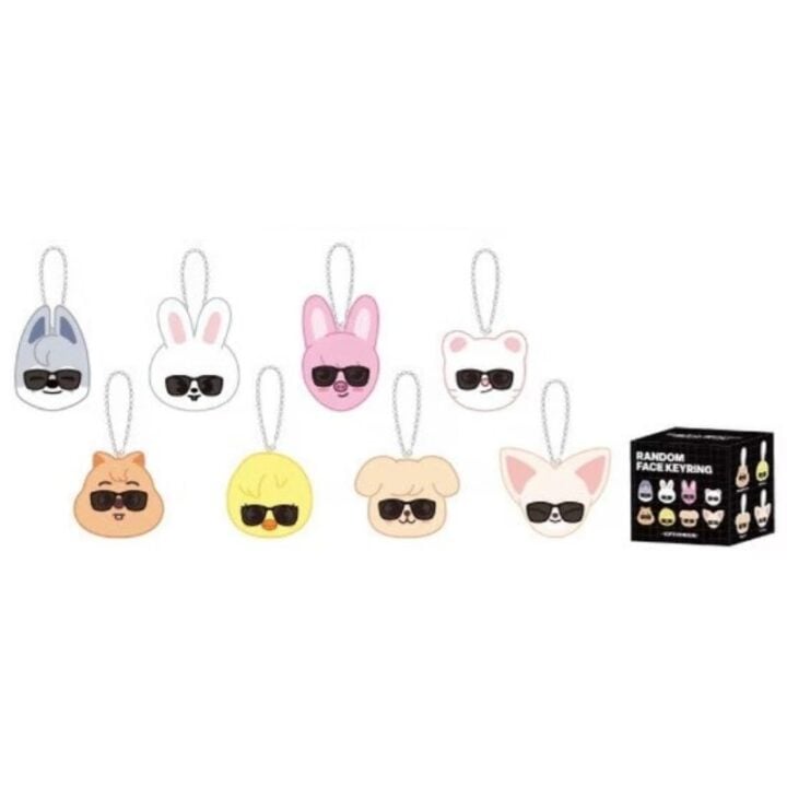 [PREORDER] Face keyring (Random) - Stray Kids World Tour Run It Japan Merch