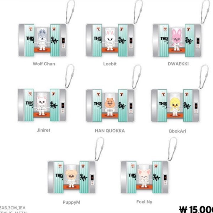 Stray Kids This & That Pop Up official SKZOO Capsule Acrylic Keyring member set