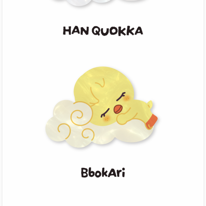 SKZOO acrylic hair clip HAN QUOKKA and BbokAri official designs from Stray Kids RUN IT Seoul