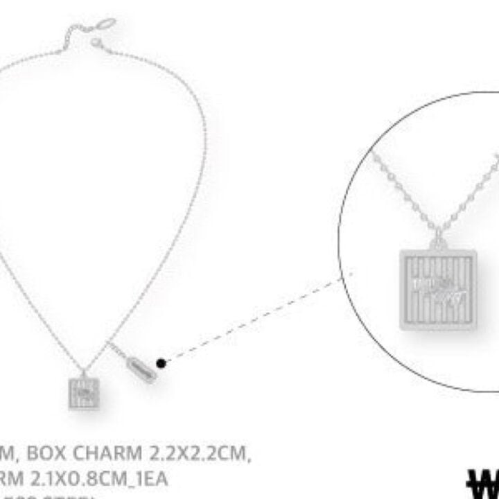 Stray Kids This & That Pop Up official Necklace product view