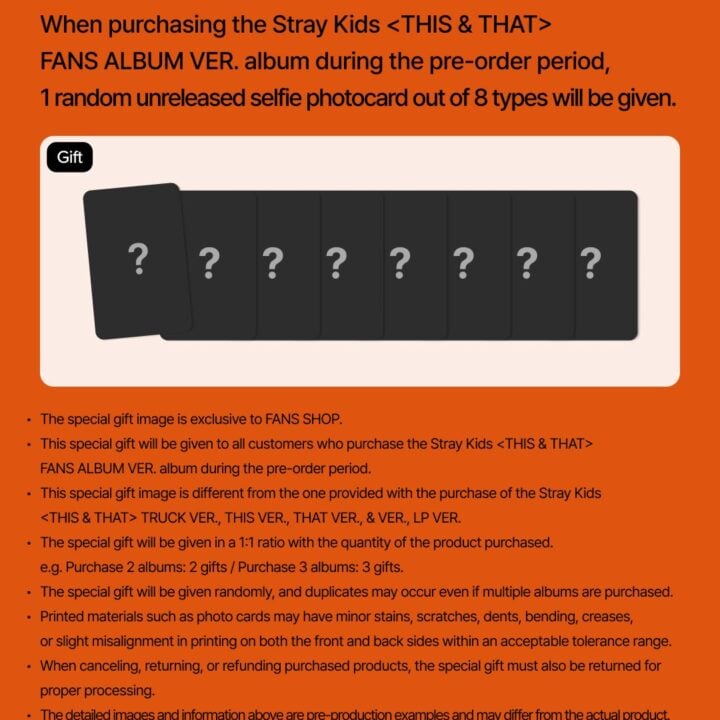 Stray Kids THIS & THAT FANS Album Ver. Fans Shop pre-order benefit