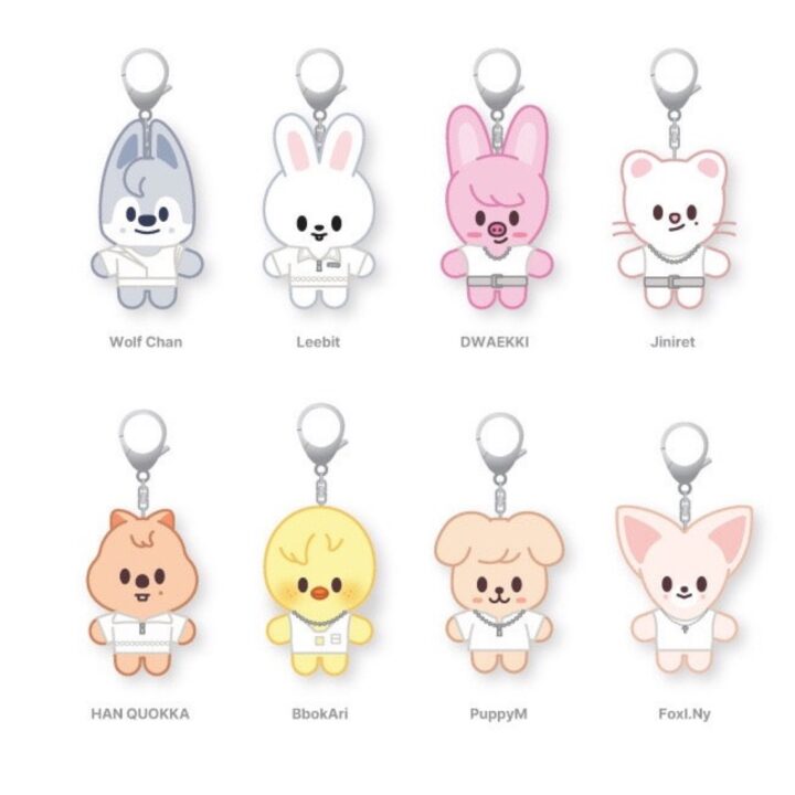 Stray Kids This & That Pop Up official SKZOO Costume Plush Keyring member set