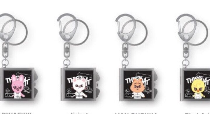 Stray Kids This & That Pop Up official SKZOO Mirror Keyring member set