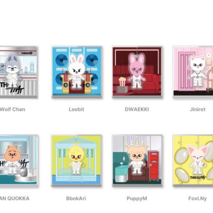 Stray Kids This & That Pop Up official SKZOO Spinning Magnet member set