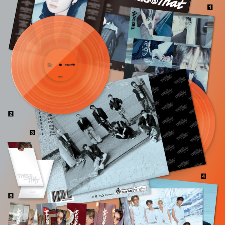 Stray Kids THIS & THAT LP Ver. official colour album contents view