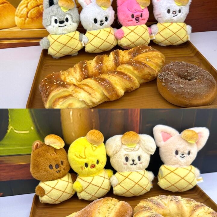 Alternative view of [PREORDER] Stray Kids SKZOO Keyring – SKZOO Everywhere All Around The World China – Shenzhen Exclusive